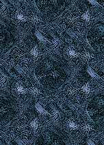 eos_tumult_t3