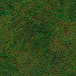 eosbaga2