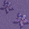 eosborage2