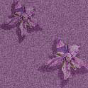 eosborage3