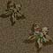 eosborage4a