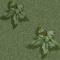 eosborage5