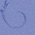 eoscurledbud4
