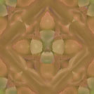 eosenchantgar5