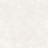 eosfoil1b
