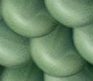 eosscales1