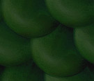 eosscales1b