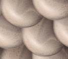eosscales4