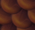 eosscales5b