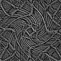 eosstrfish6b
