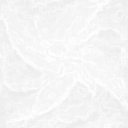 eostumblingstar5b