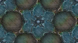 eoswinterflower2
