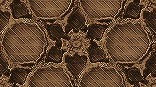 eoswinterflower5