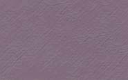 eoswintershade6a