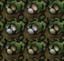 EosIndents2b